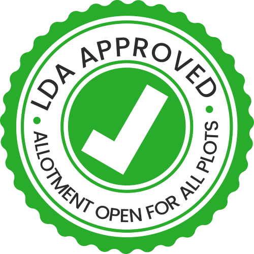 LDA